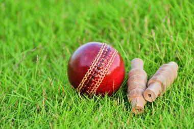 Cricket ball and bails  clipart