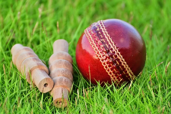 Pallone da cricket e cauzioni — Foto Stock