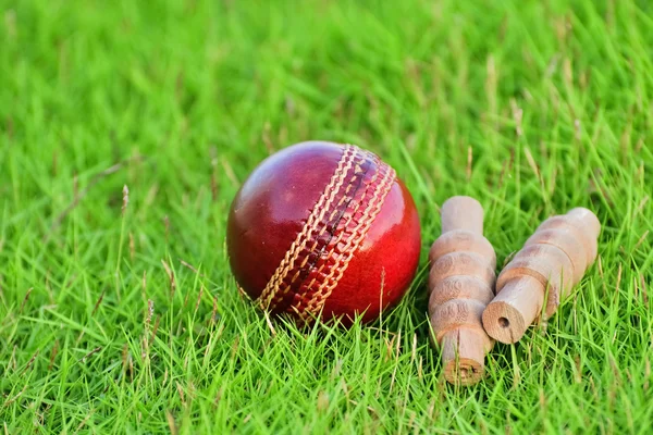 Cricket ball and bails — Stok Foto