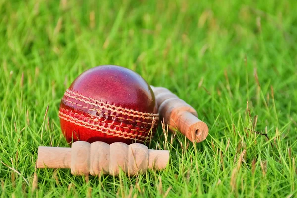 Red leather cricket ball