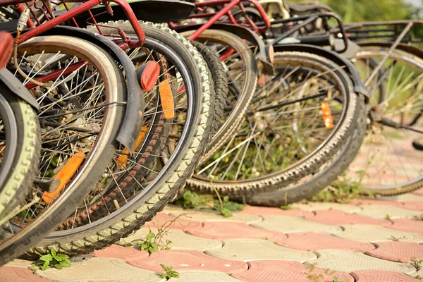 Row Row Bicycles Parked Road View Back Wheels Tires Road — Stock Photo, Image