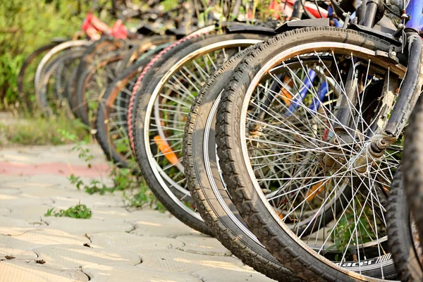 Uma Fileira Uma Fileira Bicicletas Estão Estacionadas Lado Estrada Vista — Fotografia de Stock