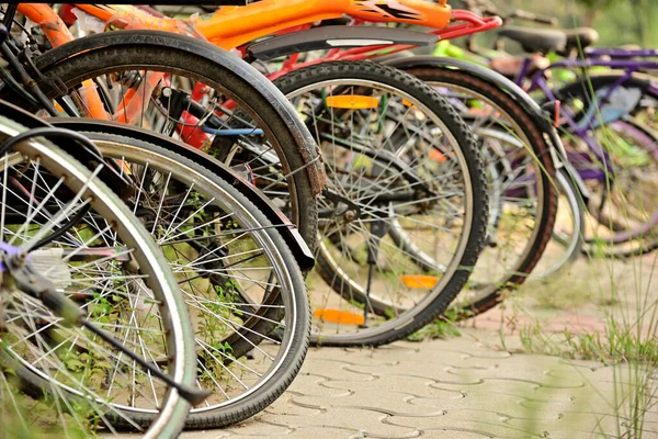 Row Row Bicycles Parked Road View Back Wheels Tires Road — Stock Photo, Image