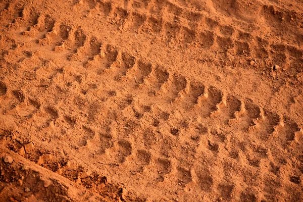 Rastreamentos Pneus Solo Vermelho Sujo Marcas Rodas Caminhão Fundo Textura — Fotografia de Stock