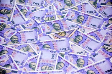 Hindistan 100 rupisi Hint para birimine dikkat çekiyor..