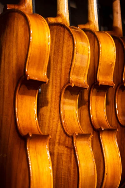 Many violins are hanging in a musical shop for ready to sell