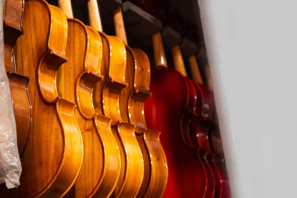 Many violins are hanging in a musical shop for ready to sell