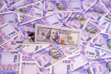 Hindistan 'ın 100 rupi geçmişine 100 dolar.