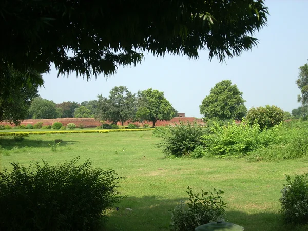 Nalanda, det antika buddhistiska universitet — Stockfoto