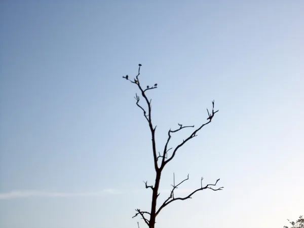 Depressão — Fotografia de Stock