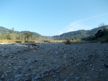 Yeşil dağ taş alanında