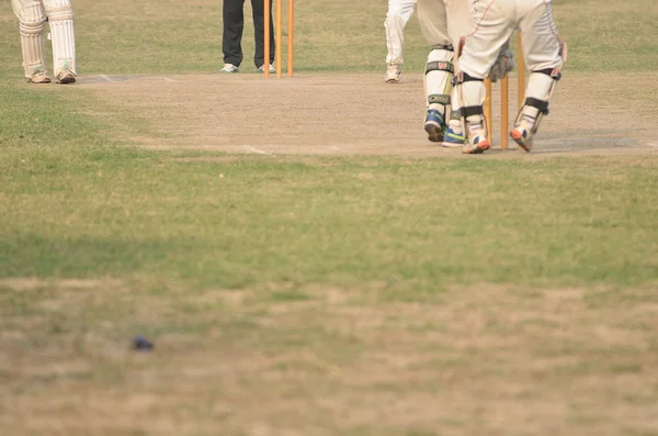 Kriket oyunu — Stok fotoğraf