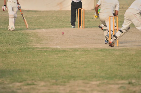 Крикет Ігри — стокове фото