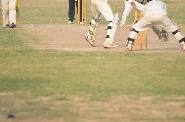 Gioco di cricket — Foto Stock