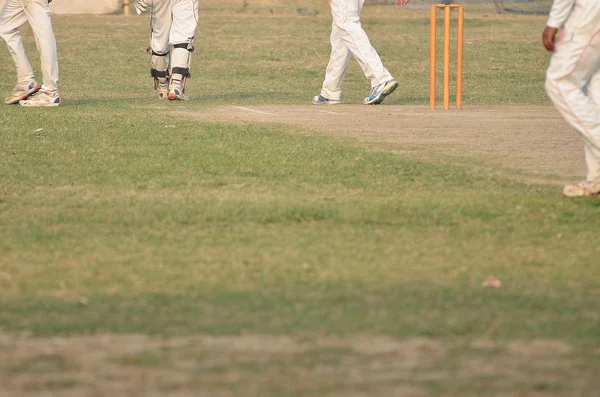 Kriket oyunu oynarken — Stok fotoğraf