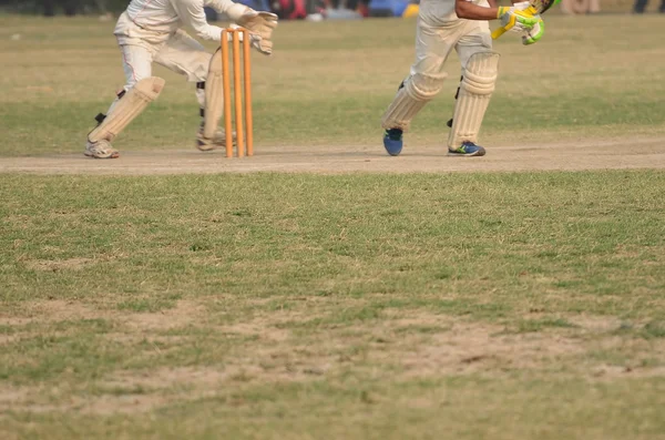 Cricket-Spiel — Stockfoto