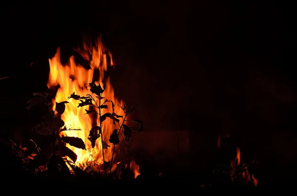 Lagerfeuer. — Stockfoto