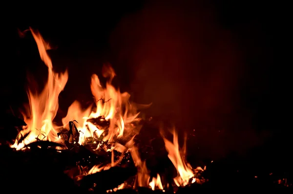 Lagerfeuer. — Stockfoto