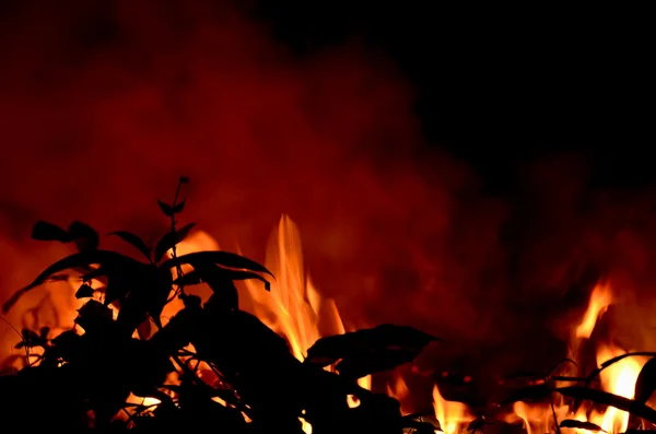 Bonfire. — Stock Photo, Image