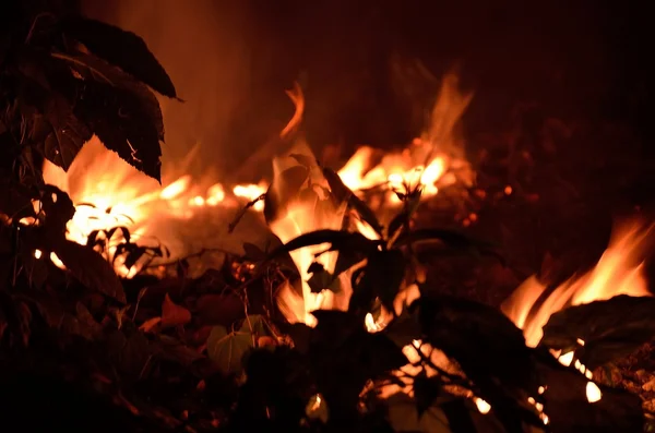 Lagerfeuer. — Stockfoto