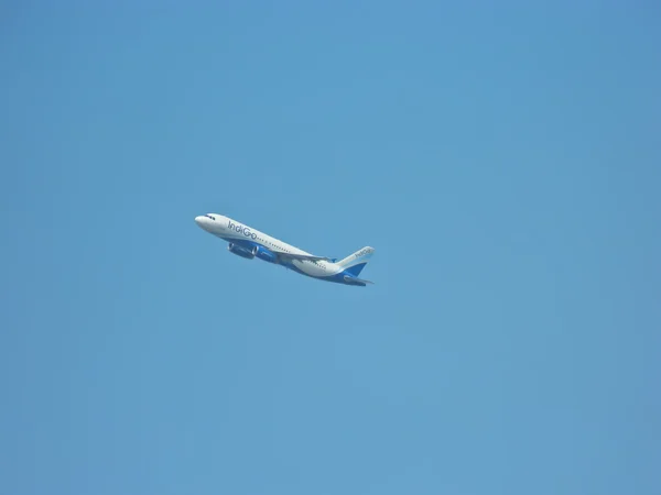 Indigo airplane — Stock Photo, Image