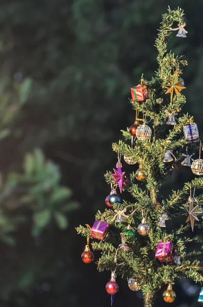 夜のクリスマスツリー — ストック写真