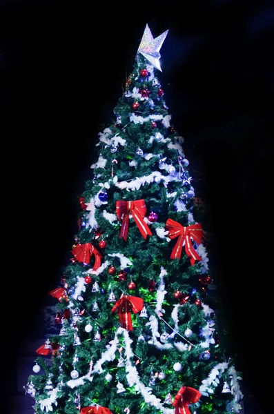Christmas tree in night — Stock Photo, Image