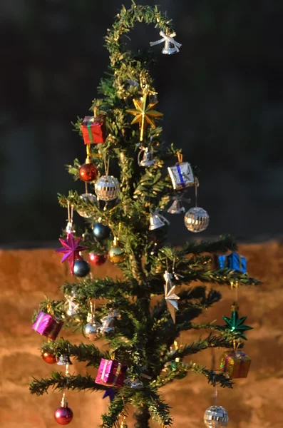 Albero di Natale nella notte — Foto Stock