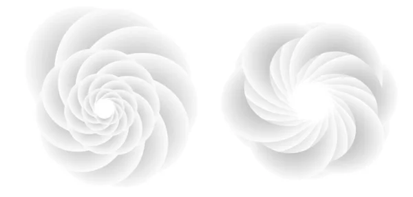 Абстрактный Спиральный Элемент Дизайна Белом Фоне Твистовых Линий Векторная Иллюстрация — стоковый вектор