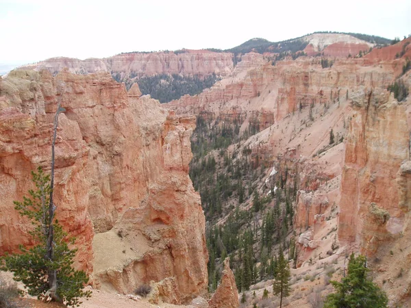 Bryce Canyon Ordförande — Stockfoto