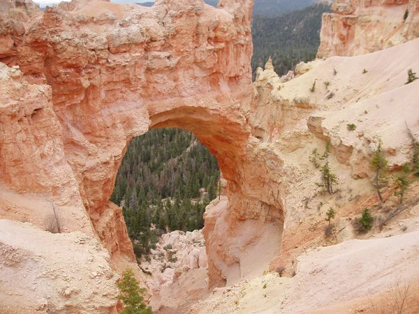 Bryce Canyon Ordförande — Stockfoto