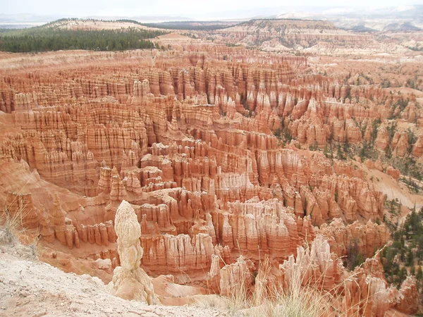 Bryce Canyon Ordförande — Stockfoto