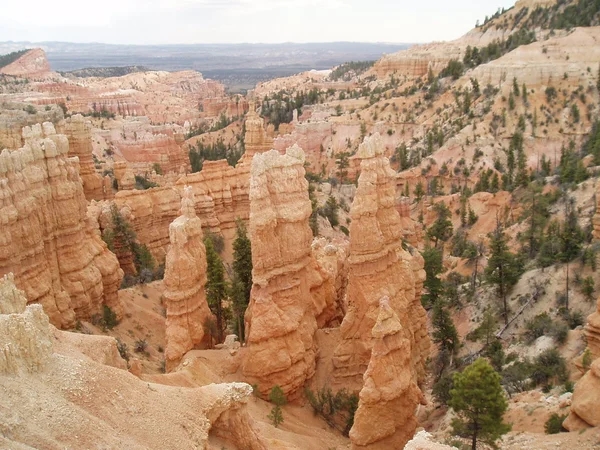 Bryce Canyon Ordförande — Stockfoto