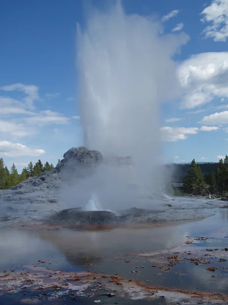 Yellowstone. — Foto de Stock