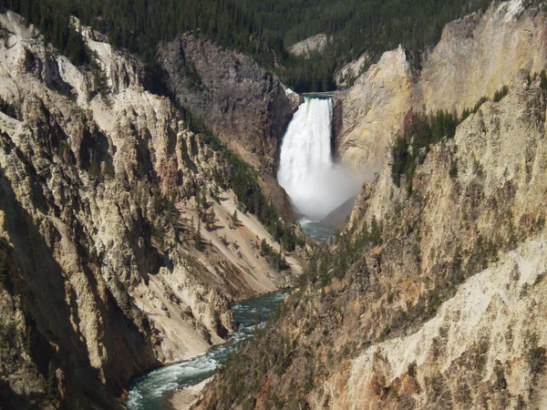 Yellowstone. —  Fotos de Stock