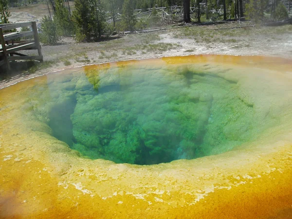 Yellowstone. —  Fotos de Stock