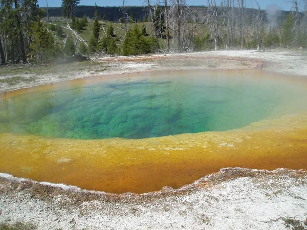 Yellowstone. — Foto de Stock