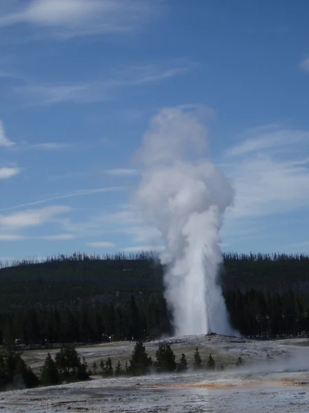 Yellowstone. —  Fotos de Stock