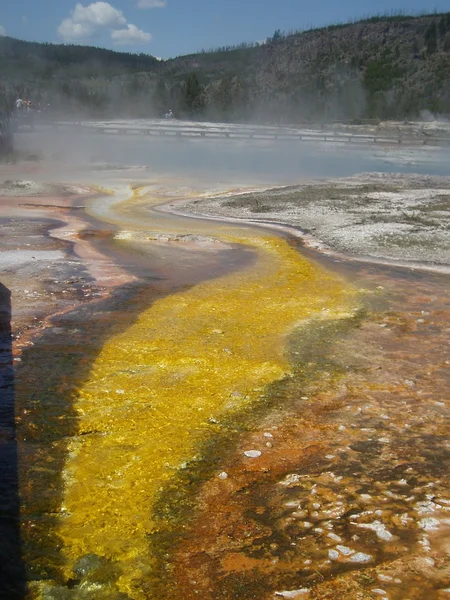 Yellowstone. — Foto de Stock