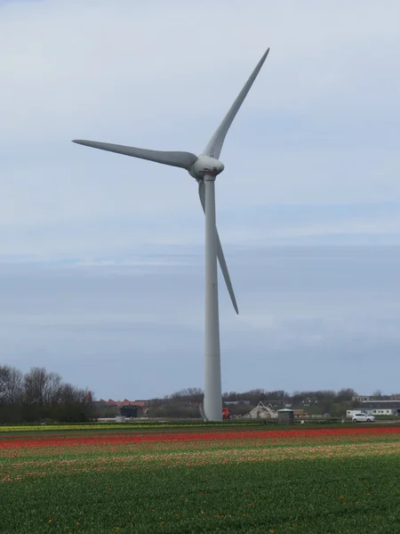 Vindkraftverk — Stockfoto