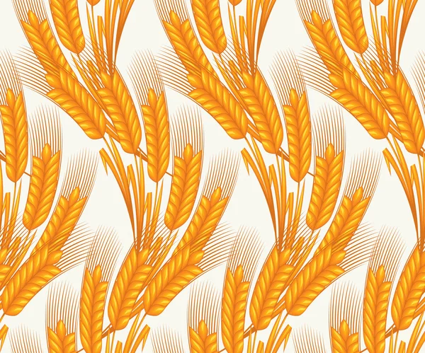 Wheat seamless pattern — Stock Vector