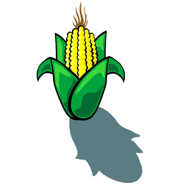 Corn — Stock Vector