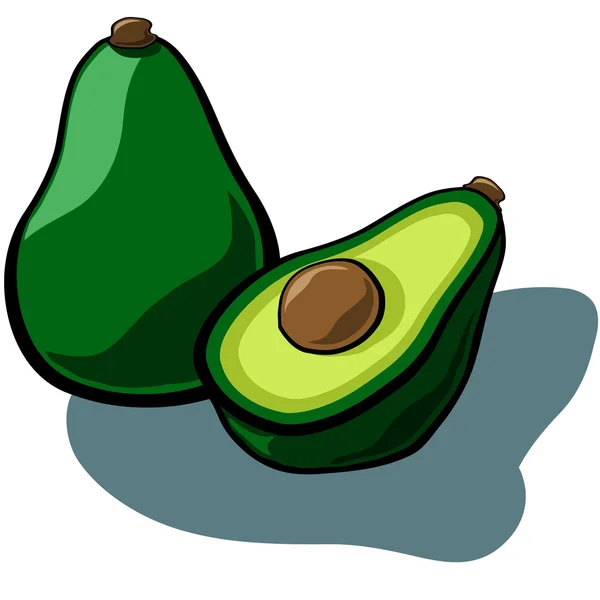 Avocado — Stockvektor