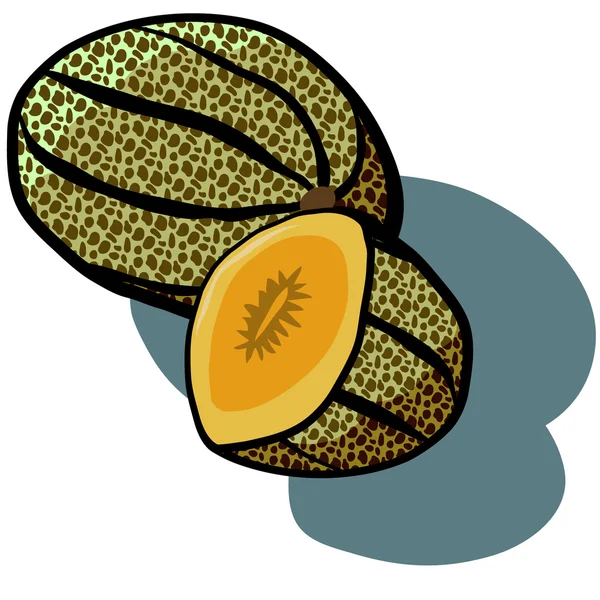 Cantaloupemelon och hälften — Stock vektor
