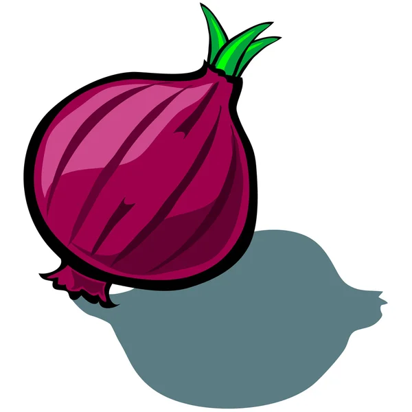 Cebolla roja — Vector de stock