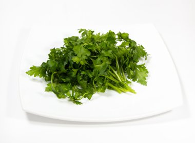 Bir demet maydanoz ve dereotu