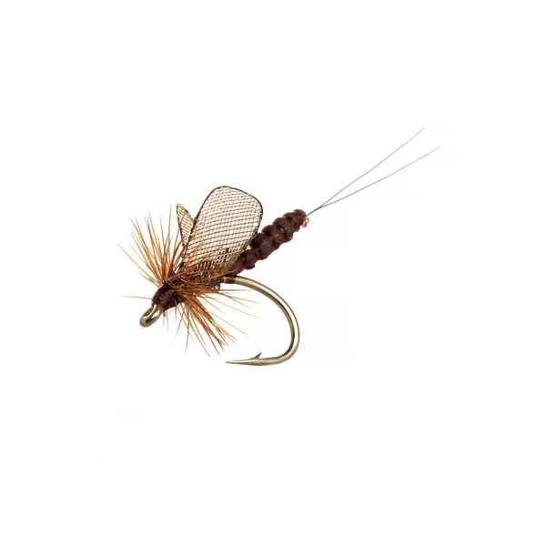 Fly fishing lure — Stock Photo, Image