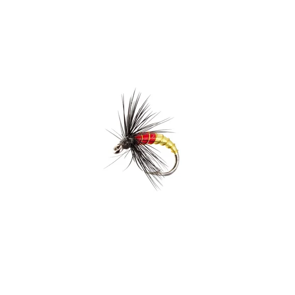 Fly fishing lure — Stock Photo, Image