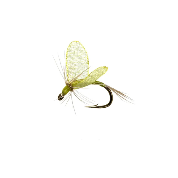 Fly fishing lure — Stock Photo, Image