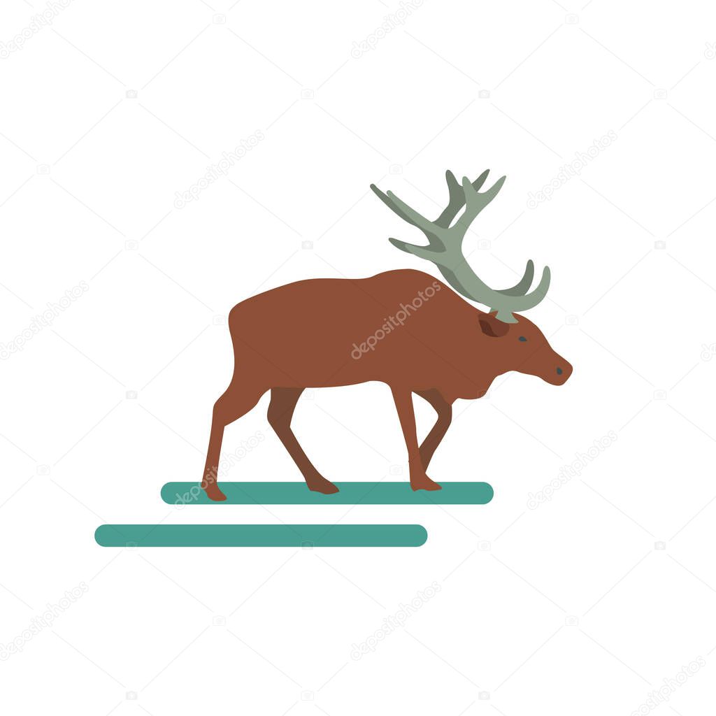 North reindeer. Vector illustration in flat style